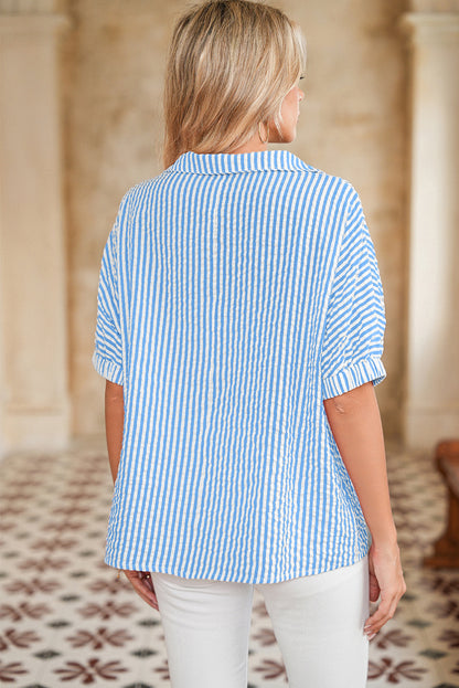 Sky Blue Striped Dolman Sleeve Pop of Color Neckline Blouse